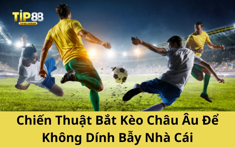 Chiến Thuật Bắt Kèo Châu Âu Để Không Dính Bẫy Nhà Cái