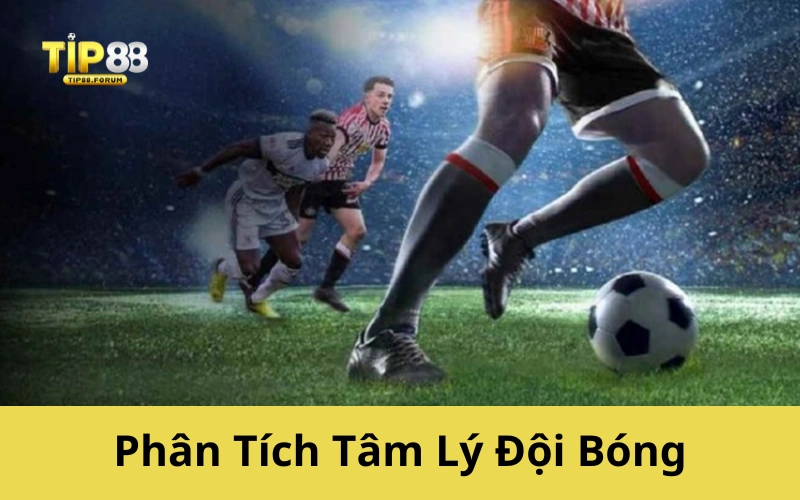 Phân Tích Tâm Lý Đội Bóng