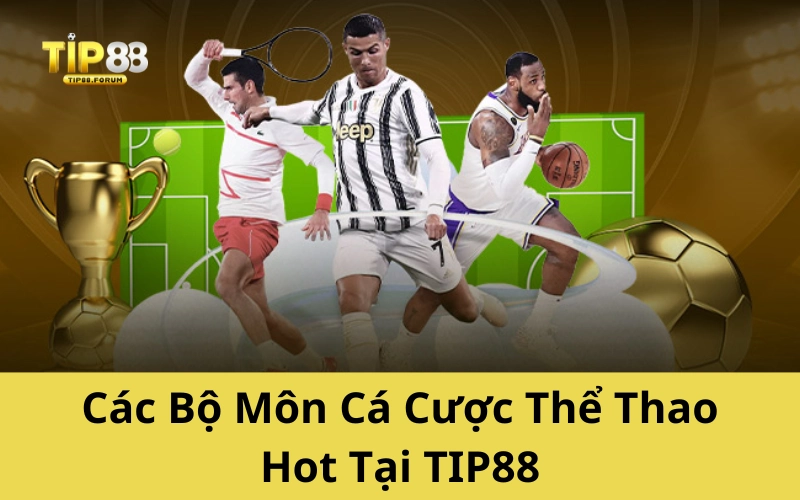 Các Bộ Môn Cá Cược Thể Thao Hot Tại TIP88