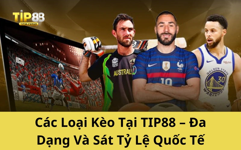 Các Loại Kèo Tại TIP88 – Đa Dạng Và Sát Tỷ Lệ Quốc Tế