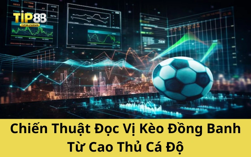 Chiến Thuật Đọc Vị Kèo Đồng Banh Từ Cao Thủ Cá Độ