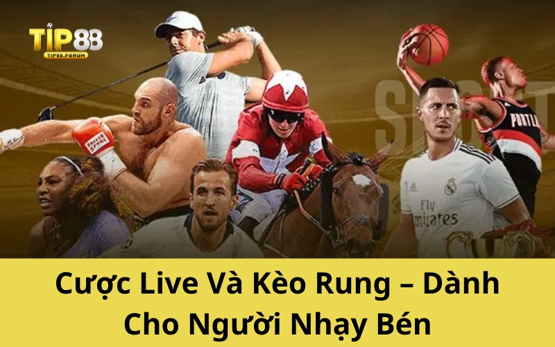 Cược Live Và Kèo Rung – Dành Cho Người Nhạy Bén