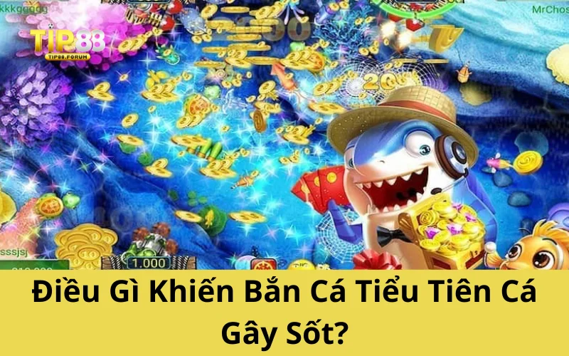 Điều Gì Khiến Bắn Cá Tiểu Tiên Cá Gây Sốt?