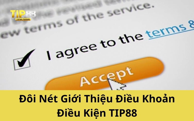 Đôi Nét Giới Thiệu Điều Khoản Điều Kiện TIP88