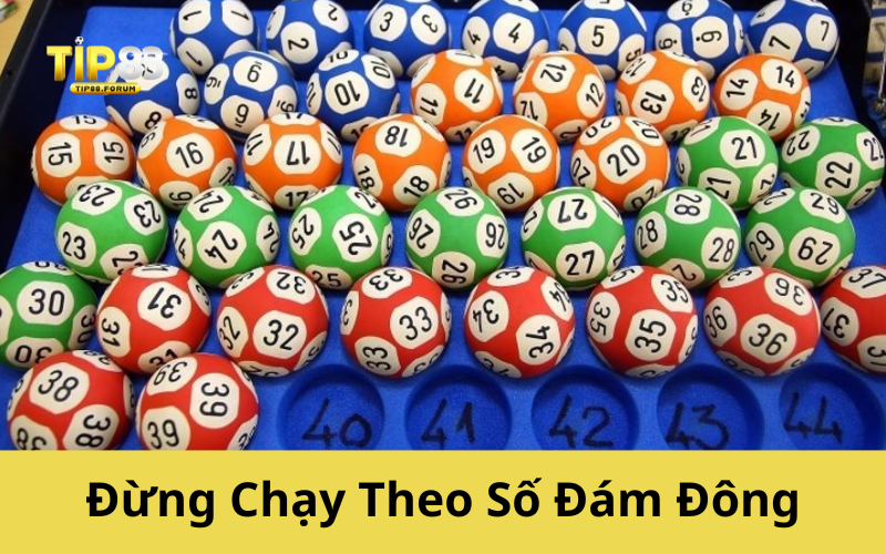 Đừng Chạy Theo Số Đám Đông
