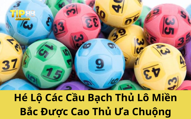 Hé Lộ Các Cầu Bạch Thủ Lô Miền Bắc Được Cao Thủ Ưa Chuộng