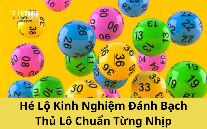Hé Lộ Kinh Nghiệm Đánh Bạch Thủ Lô Chuẩn Từng Nhịp