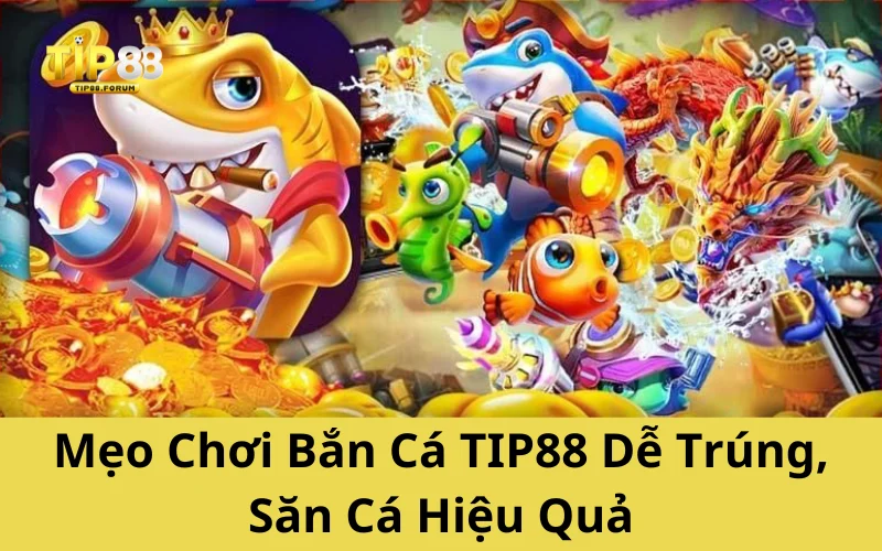 Mẹo Chơi Bắn Cá TIP88 Dễ Trúng, Săn Cá Hiệu Quả