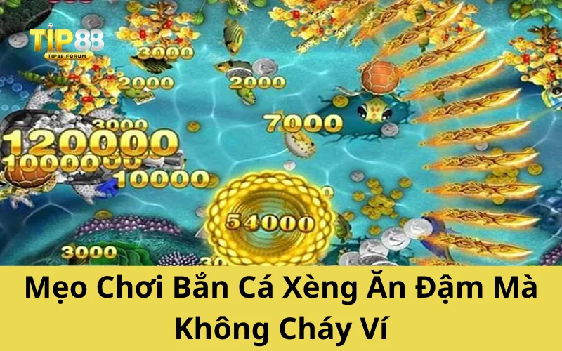 Mẹo Chơi Bắn Cá Xèng Ăn Đậm Mà Không Cháy Ví