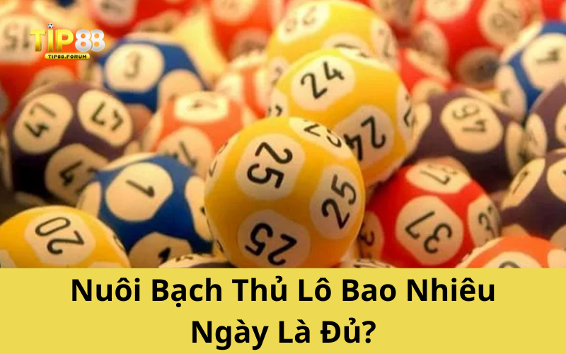 Nuôi Bạch Thủ Lô Bao Nhiêu Ngày Là Đủ