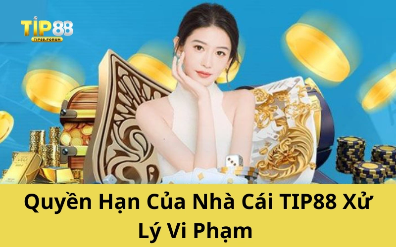 điều khoản điều kiện TIP88