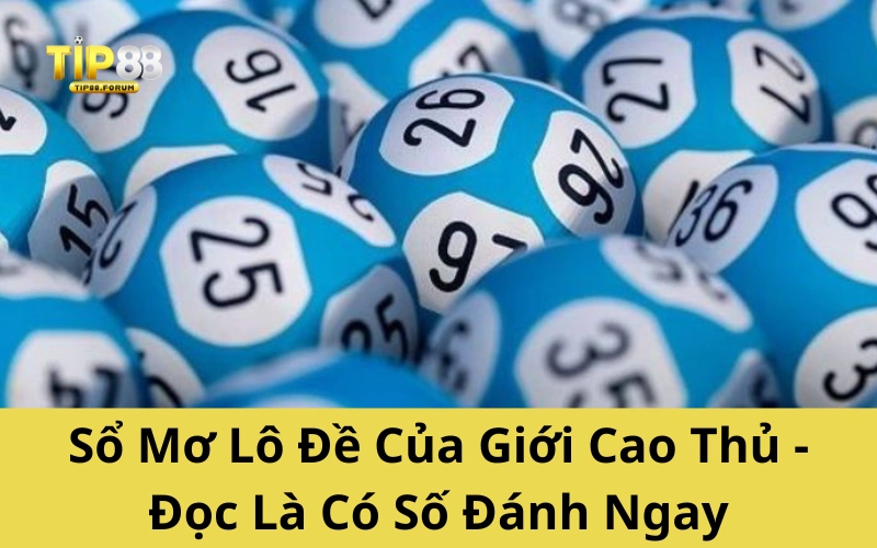 Sổ Mơ Lô Đề Của Giới Cao Thủ - Đọc Là Có Số Đánh Ngay