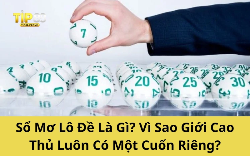 Sổ Mơ Lô Đề Là Gì? Vì Sao Giới Cao Thủ Luôn Có Một Cuốn Riêng?