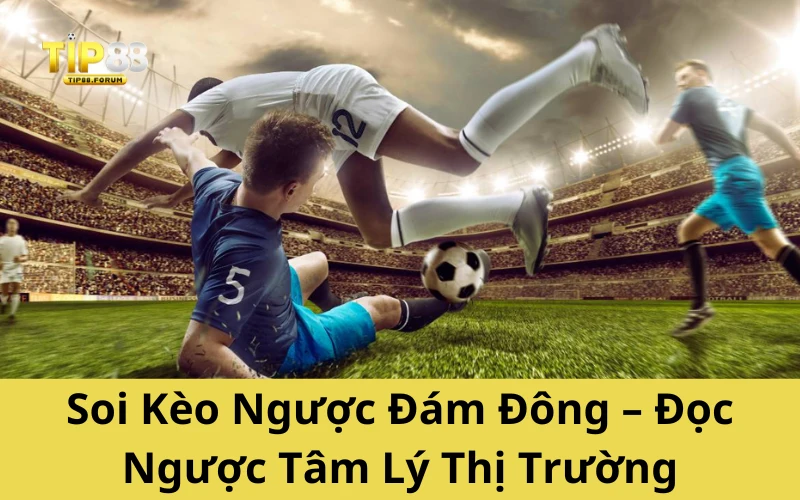 Soi Kèo Ngược Đám Đông – Đọc Ngược Tâm Lý Thị Trường