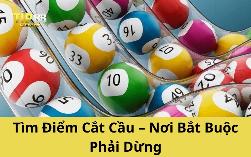 Tìm Điểm Cắt Cầu – Nơi Bắt Buộc Phải Dừng